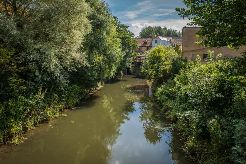 Francis Fields - Image 10