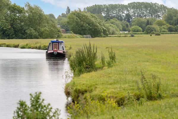Honeymans Helm - Image 8