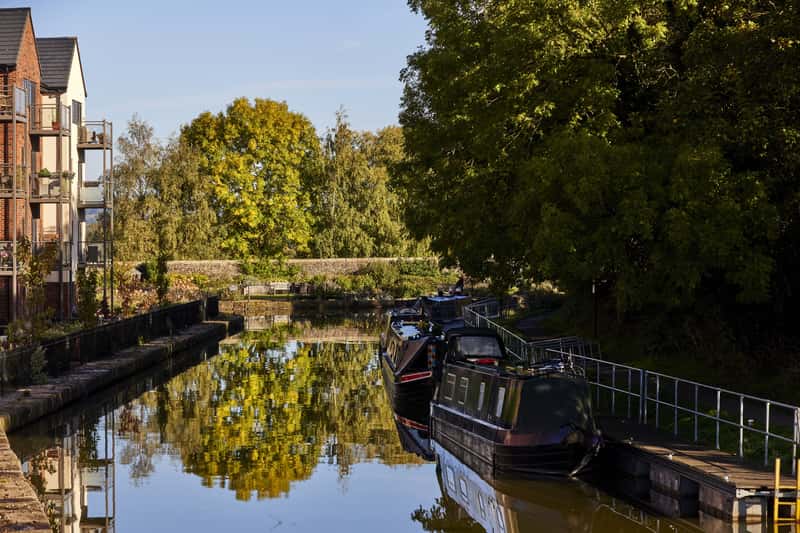 Kings Park - Image 9