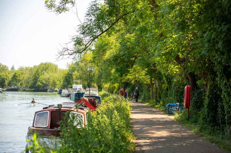 Lapwing Green - Image 8