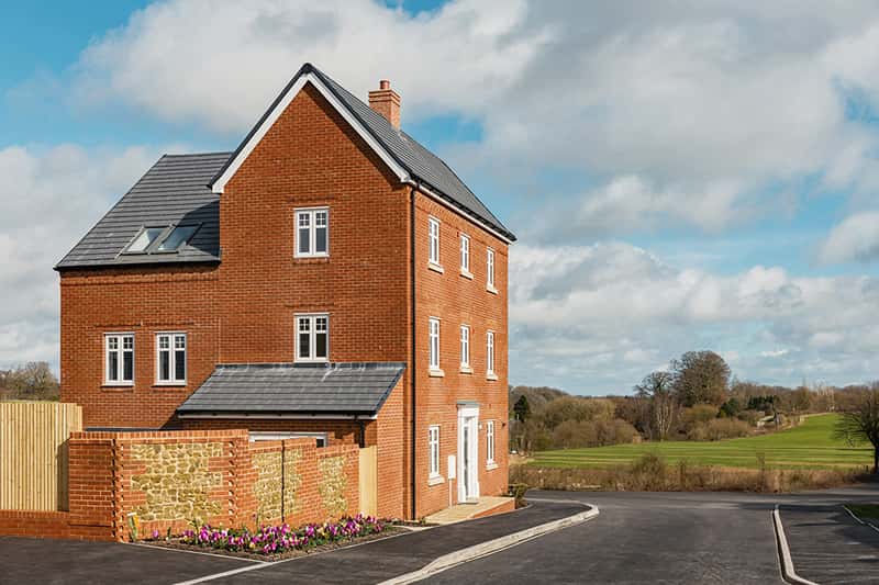 Niveus Walk - Image 4