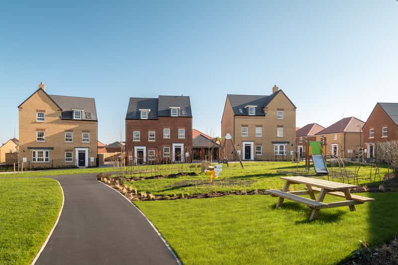 Niveus Walk - Image 6