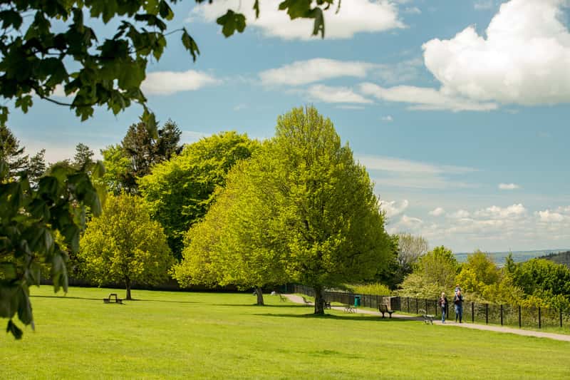 Niveus Walk - Image 7