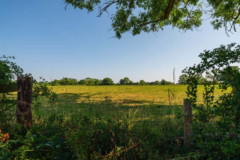 Olive Park - Image 7