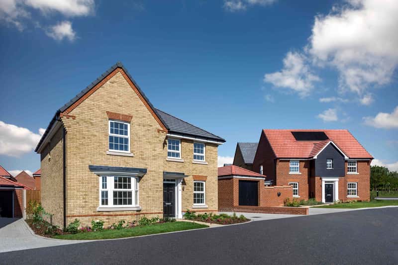 Roman Walk - Image 3