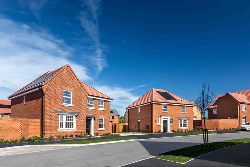 Roman Walk - Image 7