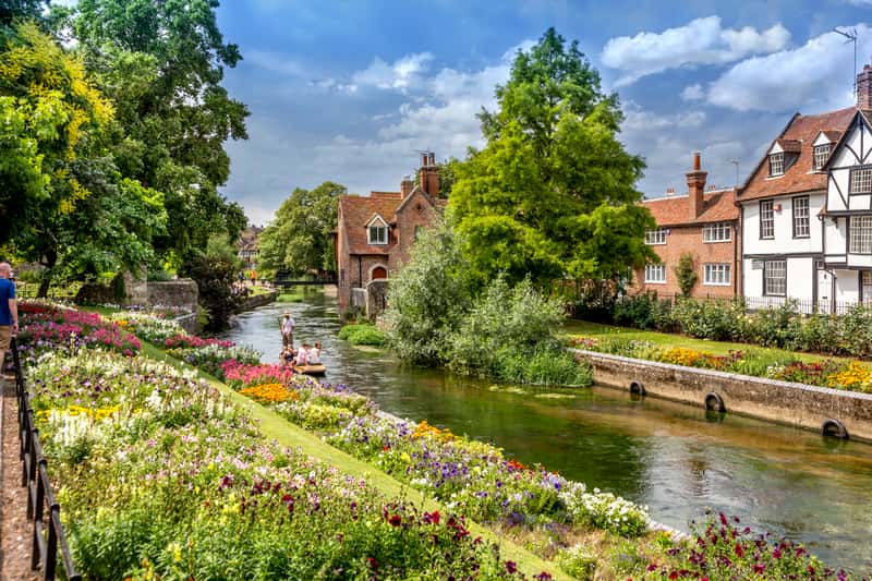 Saxon Fields - Image 10