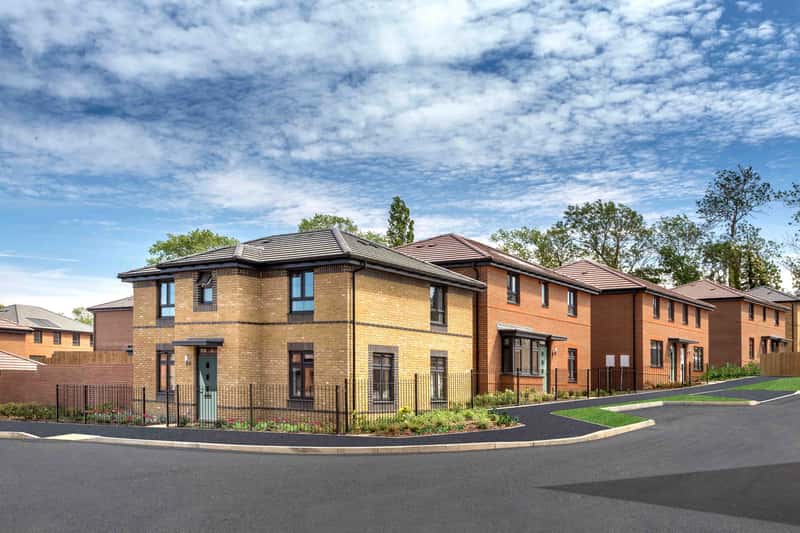 Saxon Fields - Image 5