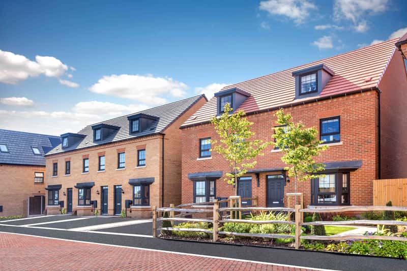 Spitfire Green - Image 3