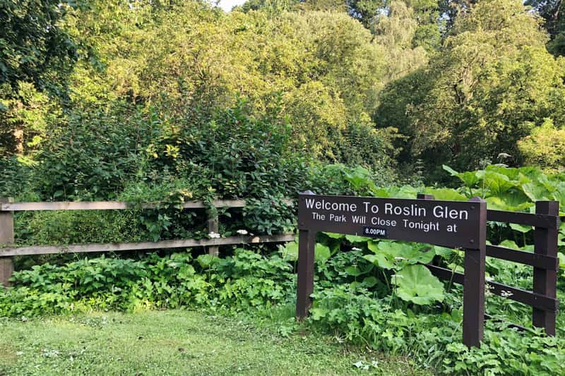 St Clair Mews - Image 10