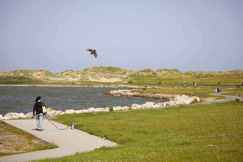 Sundial Place DWH - Image 10