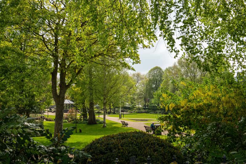 The Catkins - Image 10