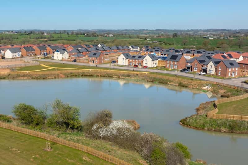 The Catkins - Image 3