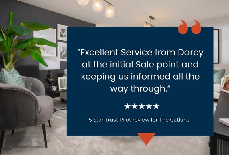 The Catkins - Image 5