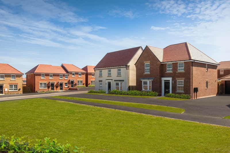 The Catkins - Image 8