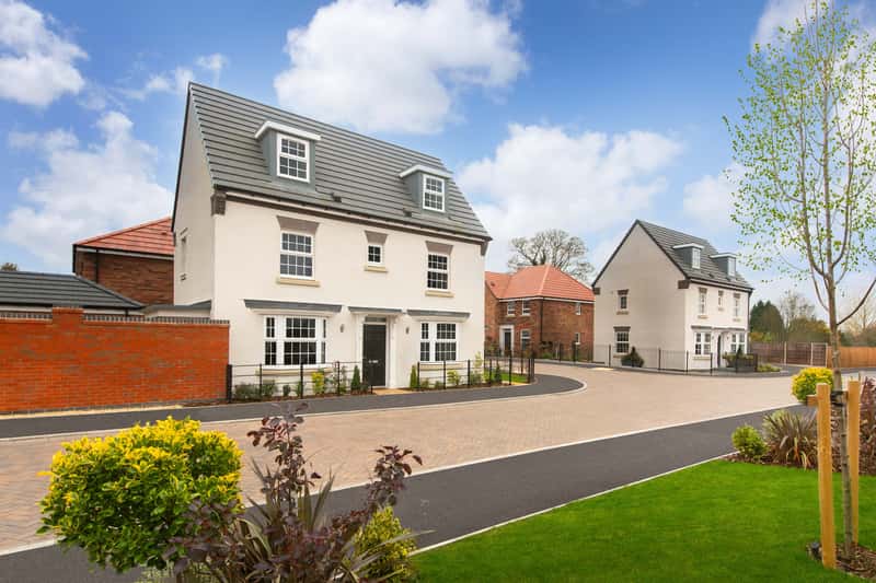 The Damsons - Image 1