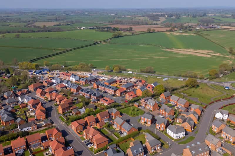 The Damsons - Image 3