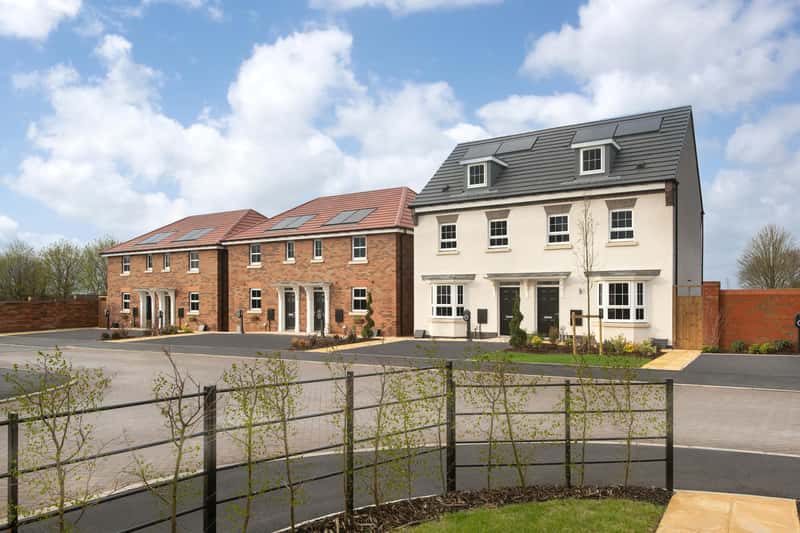 The Damsons - Image 8