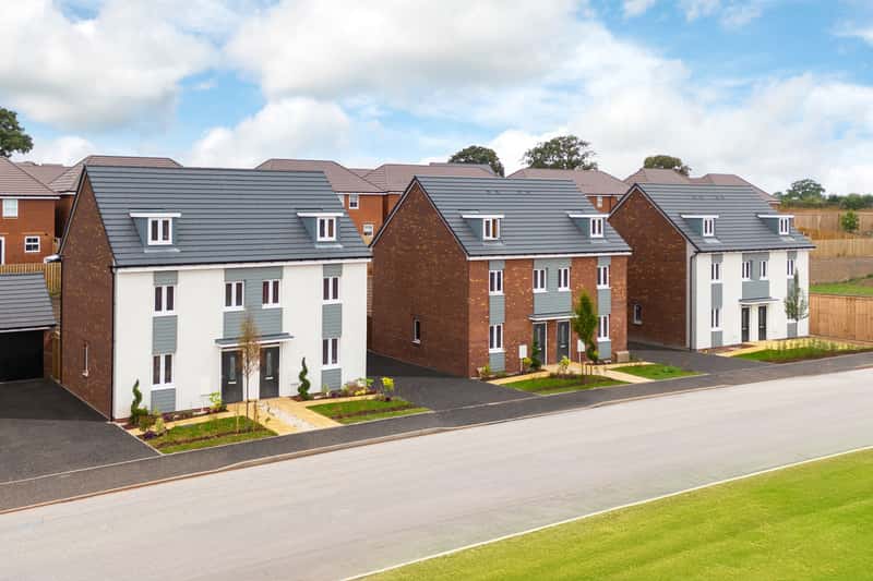 The Lapwings at Burleyfields - Image 3