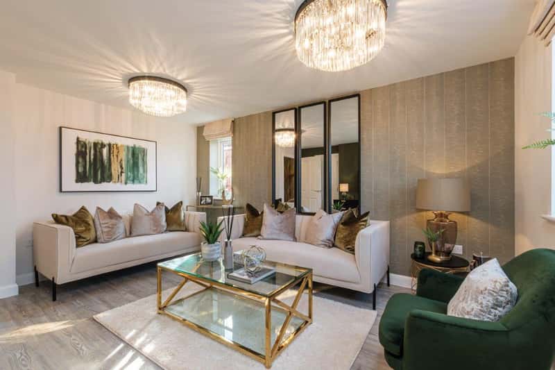 The Lapwings at Burleyfields - Image 4