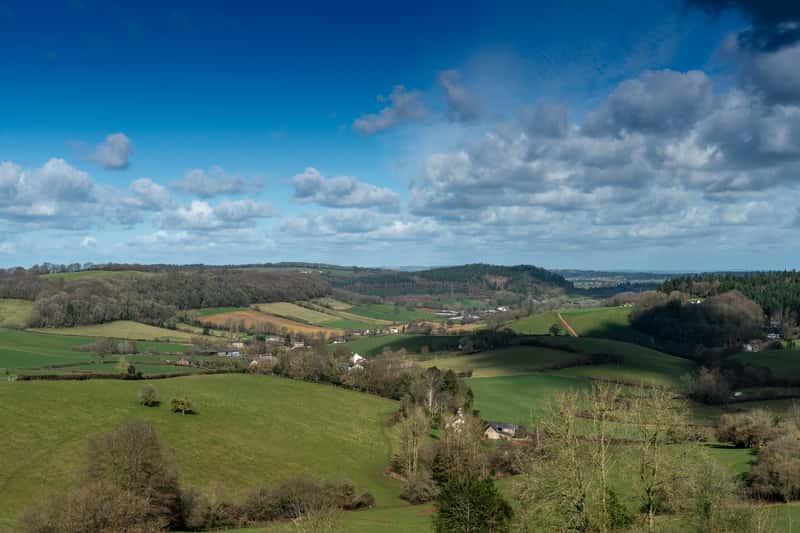 The Orchards - Image 10