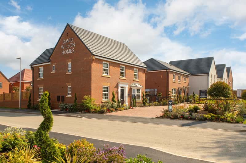 The Pearls - Image 4