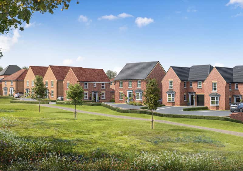 The Pearls - Image 6