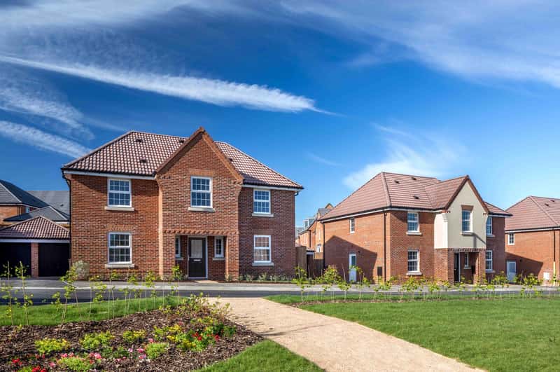 The Poppies - Image 1