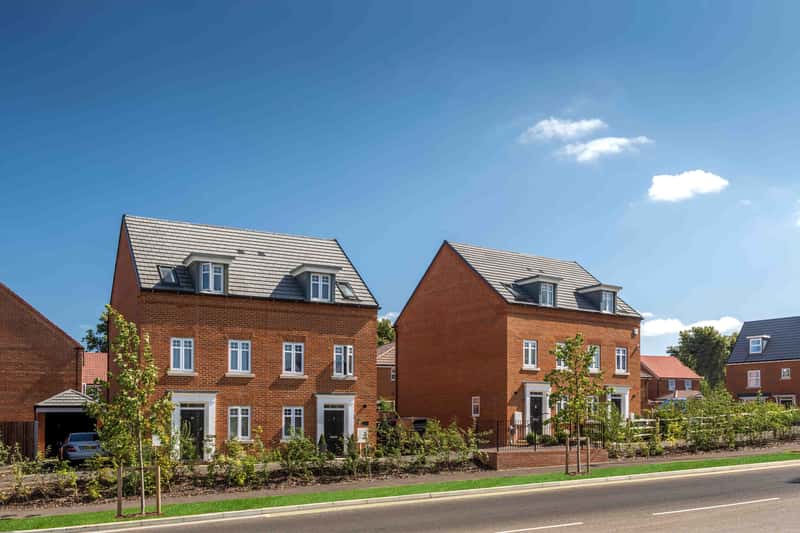 The Poppies - Image 3