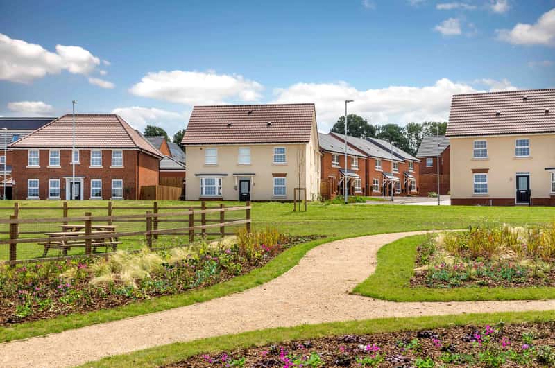 The Poppies - Image 5