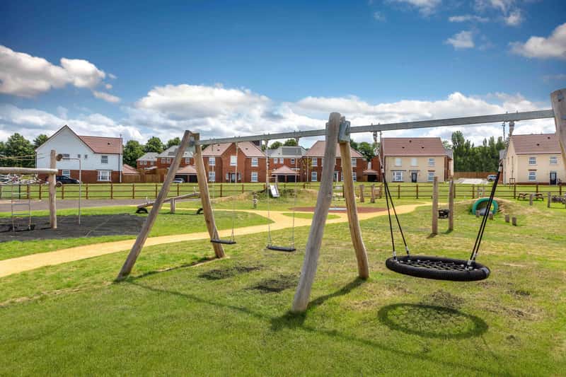 The Poppies - Image 7