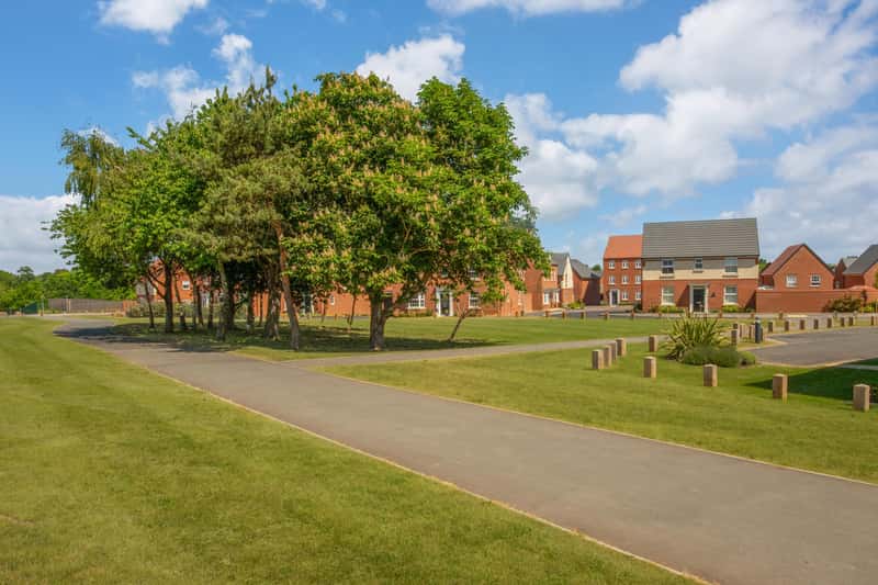 The Skylarks - Image 9