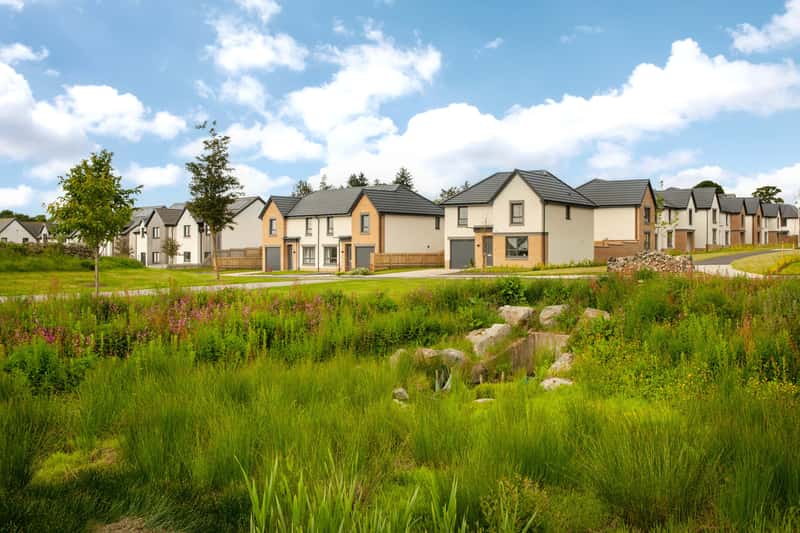 The Woodlands Collection - Image 1