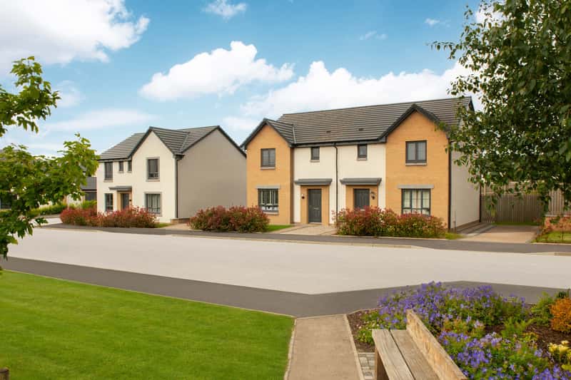 The Woodlands Collection - Image 4