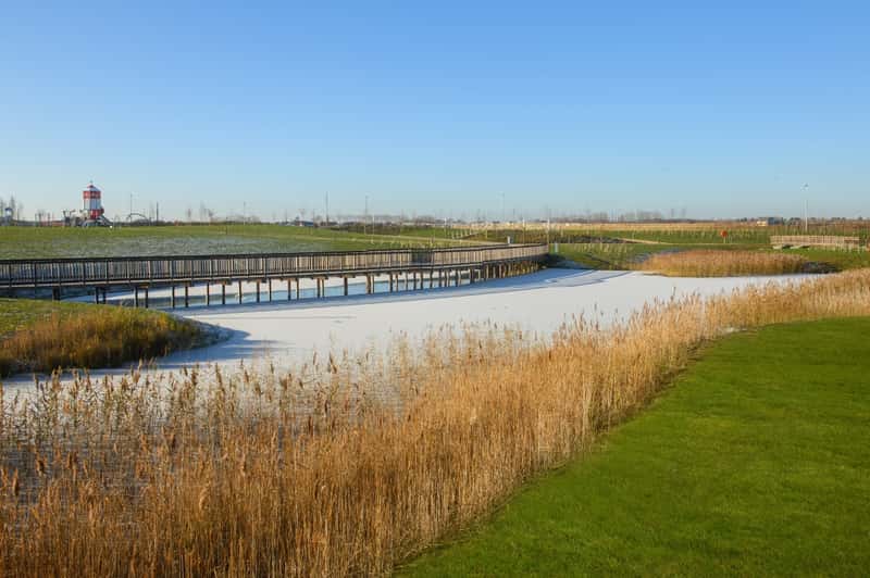 Willow Grove - Image 8