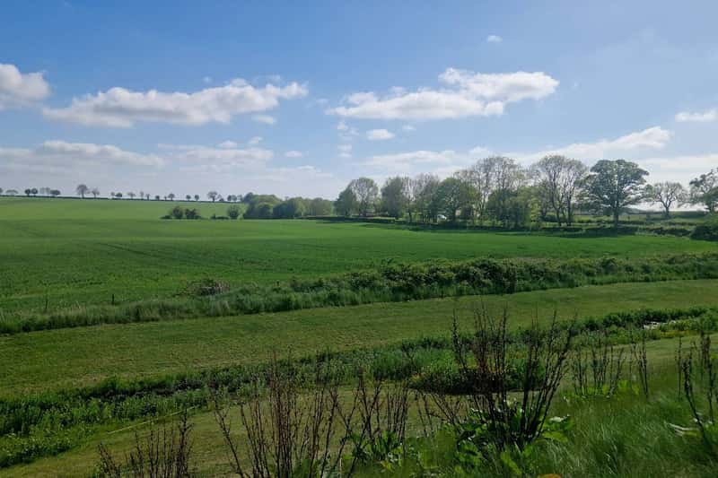 All Saints - Image 4