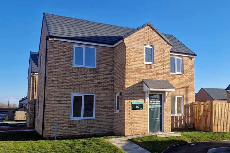 Monarch Green - Image 10