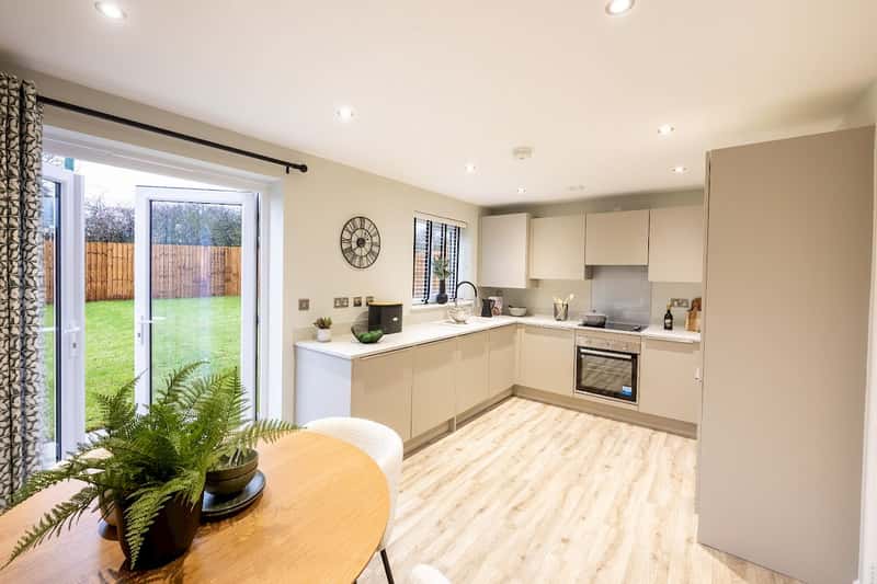 Monarch Green - Image 3