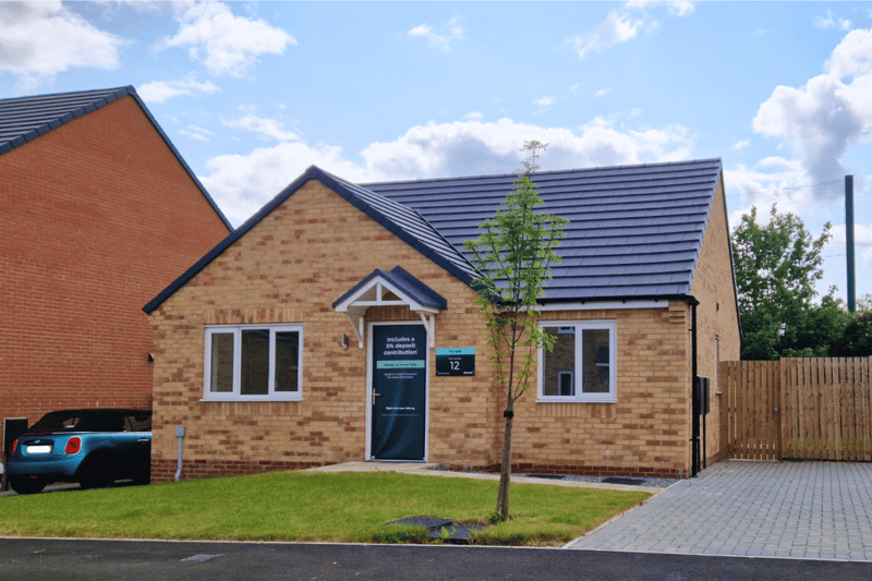 Monarch Green - Image 7