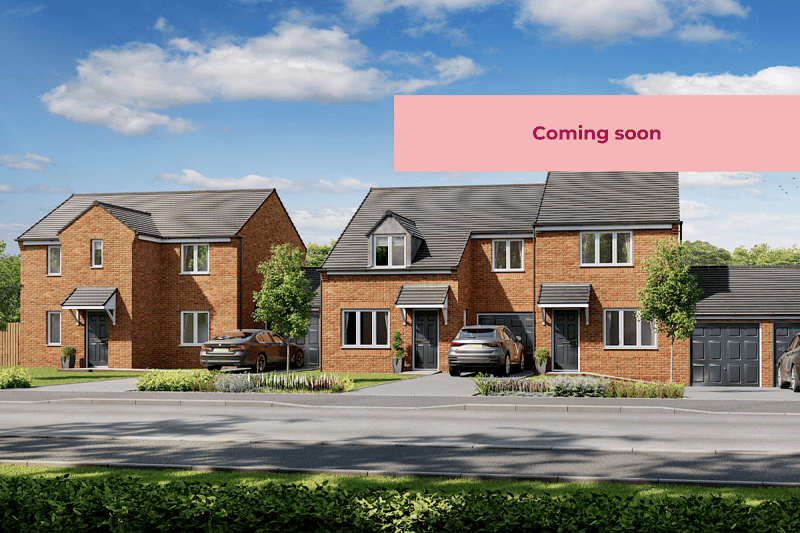 Ousterley Woods - Image 1