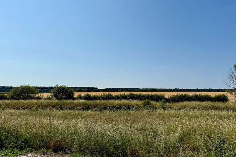 Petersmiths Park - Image 10