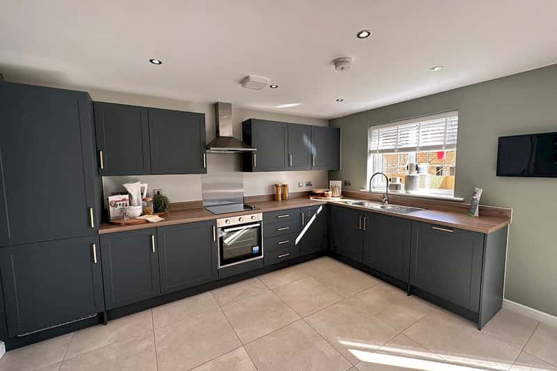 Squirrel Fold - Image 3