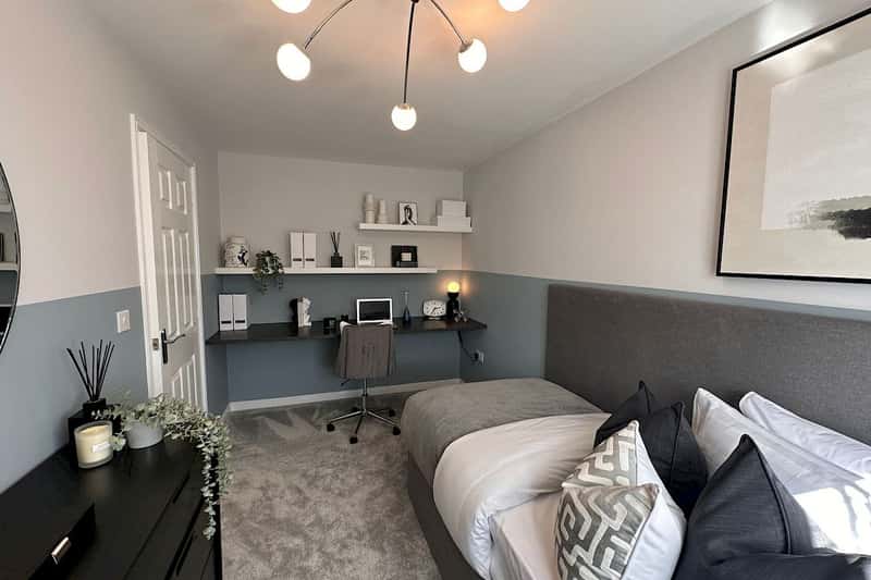 Squirrel Fold - Image 6