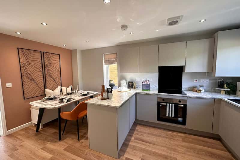 Squirrel Fold - Image 9