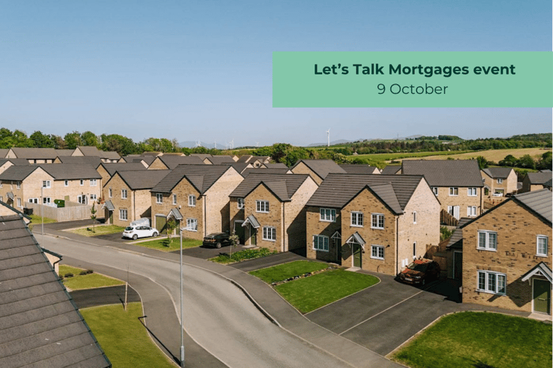 The Rowans - Image 1