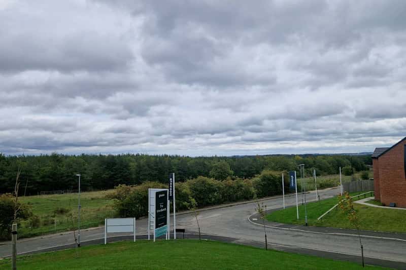 The Woodlands - Image 10