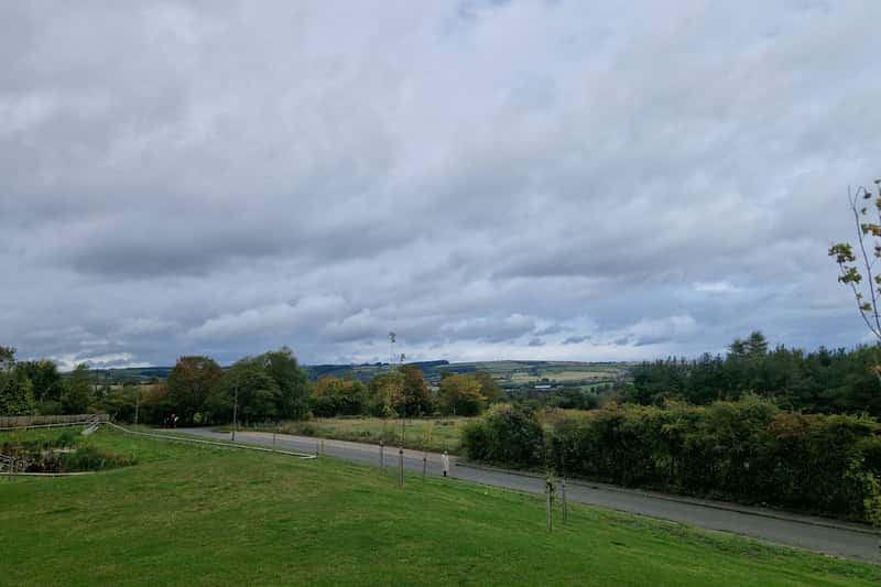 The Woodlands - Image 7