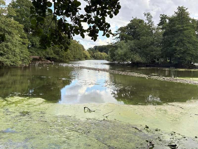 Linden Homes at Linby Meadows - Image 6