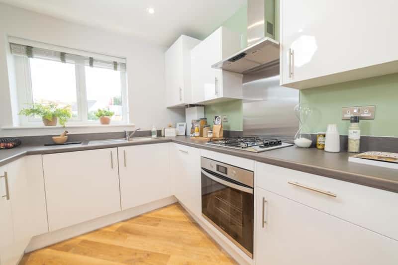 Quantum Fields - Image 11