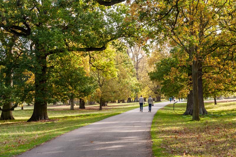 Stamford Gardens - Image 9
